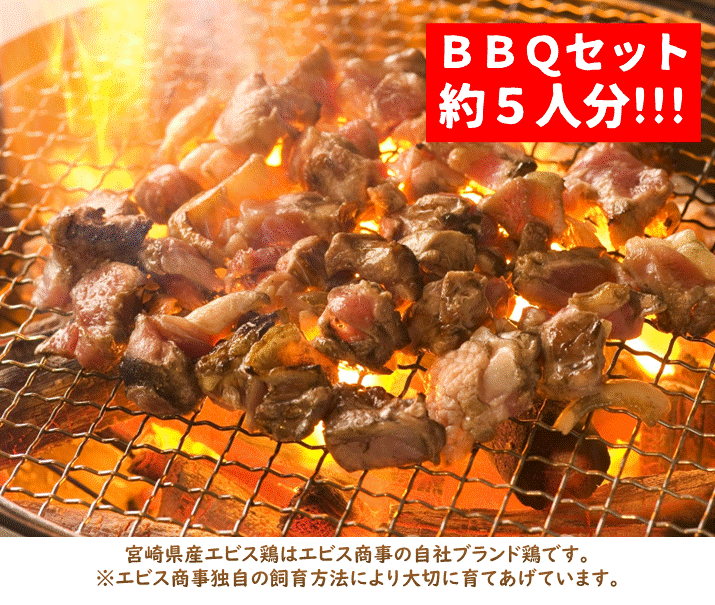 bbq-9.GIF?1706658609235