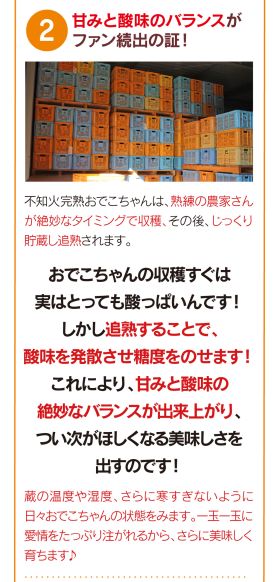 甘みと酸味のバランスがよくなるよう熟練の農家さんが貯蔵し追熟